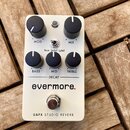 Kremovobílý efekt pedál s pěti černými otočnými knoflíky. Na šasi jsou nápisy MOD, MIX, BASS, MID, TREBLE a DECAY, dále přepínač s označením Room, Sm…