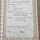 Fotografie zobrazuje certifikát autenticity s hnědým ornamentálním rámem. Je na něm ručně vyplněno: Brand: Fender, Model: Telecaster Highway One, Cou…