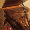 Křídlové piano z tmavého dřeva s otevřeným víkem. V interiéru jsou vidět kovové struny, zlatavý rám a ozdobné dřevěné vyřezávání na levé straně. Na č…