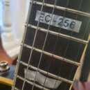 LTD EC 256 emg pickups