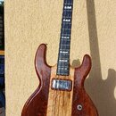 Kytara s hnědým dřevěným tělem a světlejším pruhem uprostřed. Nástroj má dva humbuckery, čtyři ovládací knofíky a hrazdici mechanismus. Na hlavě i hř…
