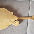 Zadní strana mandolíny s přírodním dřevěným povrchem a viditelnou sletovanou strukturou. Nástroj má charakteristický tvar těla a hmatník s bílými lad…
