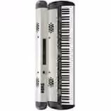 KOUP&Iacute;M KORG SV2 88S