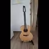 Dev&iacute;tistrunn&aacute; kytara