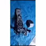 &Scaron;lapka Pearl