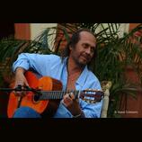 Lekcie flamenco gitary  štýlu PACO de LUCÍA i online 