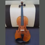 Kvalitn&iacute; viola 38 cm