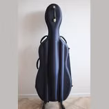 Pevn&eacute; pouzdro na Violoncello