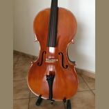Violoncello