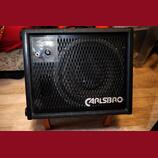 Prodam passive monitor CARLSBRO EM70