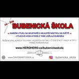 VÝUKA NA BICÍ  /  on-line