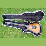 Carvin DC 135