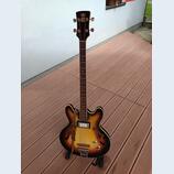 Kúpim pololubovú (semi-hollow) basgitaru