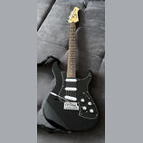 Line6 Variax Standard