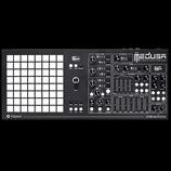 Dreadbox Polyend Medusa