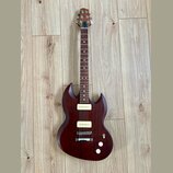 Warmoth Diamondback