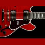 Pickguard, panel neboli slinták na ES-339