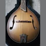  Zánovní česká celomasivní mandolína ULMA Jimmy 3 s kufrem