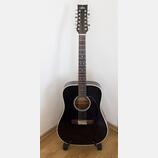 Aria LW15T-B, 12 strunná, made in japan