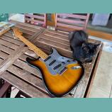 Greco SUPER SOUND Stratocaster 1978