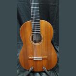 Koncertní mistrovská kytara Martin Fleeson model OPUS81 