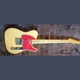 Classic Player Baja Telecaster MN Blonde 09/2007