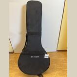 Thomann Mandola Case