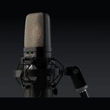 Warm Audio WA 14 (výměna možná)