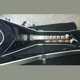 Jackson king V