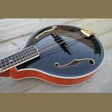 Mandolína A5