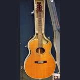 Washburn EA 45N