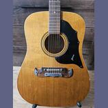 Framus Texan 5/196 L – Vintage Western kytara (1964, Německo