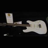 Schecter Nick Johnston USA  Custom Shop 