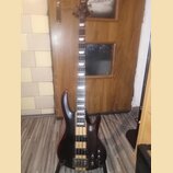 ESP LTD B-4E Natural Satin
