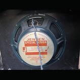Jensen C12N 8 Ohm