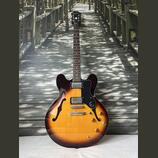 2012 semi-hollow body Epiphone Dot 