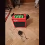 Vox DA5