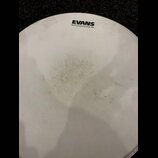 Blány Evans 16”, 12”
