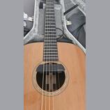 Snímač Seymour Duncan SA-6 Mag Mic