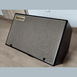 Friedman ASM - 12 Active Monitor FRFR