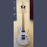 Godin Radiator Performance Series
