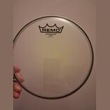 Remo Ambassador 8"