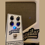 Aguilar Chorusaurus