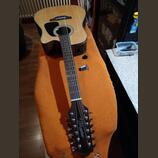 12str. western dreadnought Takamine GD30CE-12N