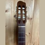 Godin Tele AcoustiClassic (Pre-Multiac) 1995