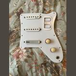 Pickguard na kytary Jolana, Grazioso, Futoráma,  nebo jiné ?