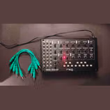 Moog Mavis