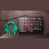 Moog Mavis