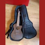 elektroakustické ukulele ORTEGA  RUCOAL-CE