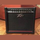 Peavey Envoy 110 red stripe